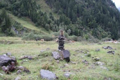 schau10