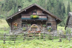 schau4