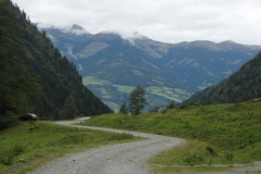 schau5