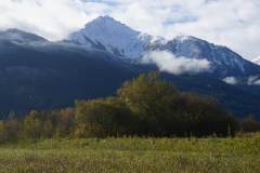 DSC03571