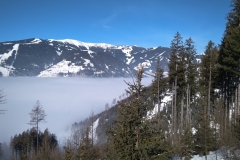 IMG_20190214_104030