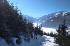 IMG_20190214_104037