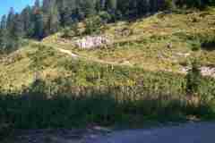 Steinalm10