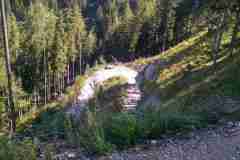 Steinalm11