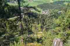 Steinalm2