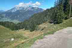 Steinalm3