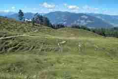 Steinalm4