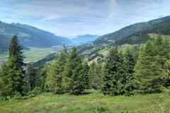 IMG_20230714_112640_HDR