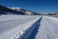 DSC09003