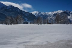 DSC09007