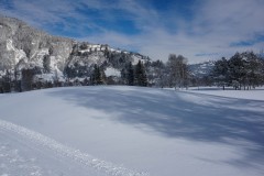 DSC09009
