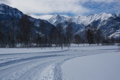 DSC09012