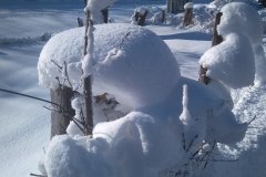 IMG_20200206_102927