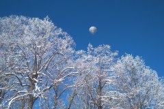 IMG_20200207_115301