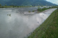 IMG_20210719_115531