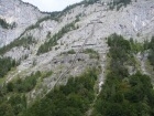 weiss-6