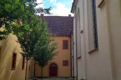 zeliv5