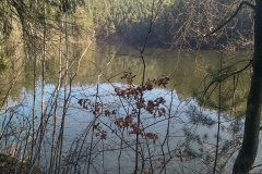 IMG_20250328_101616_HDR
