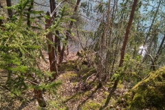 IMG_20250328_103942_HDR
