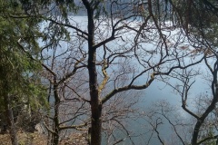 IMG_20250328_104329_HDR