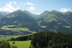 walch1