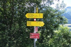 walch10