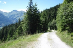 walch4