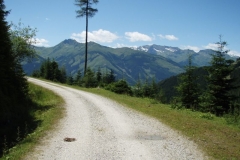 walch5