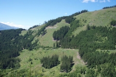 walch6