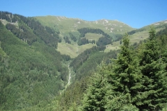 walch7